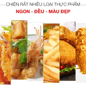 Bếp chiên nhúng điện Berjaya DF11D-17