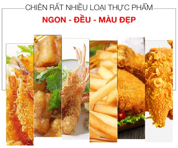 Bếp chiên nhúng điện Berjaya DF11D-17