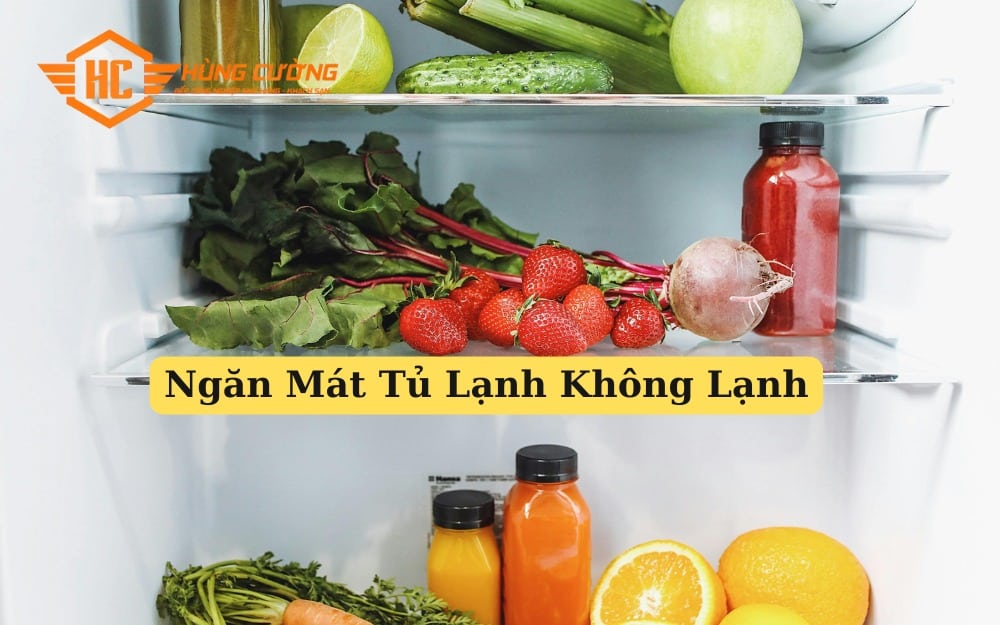 Ngăn Mát Tủ Lạnh Không Lạnh