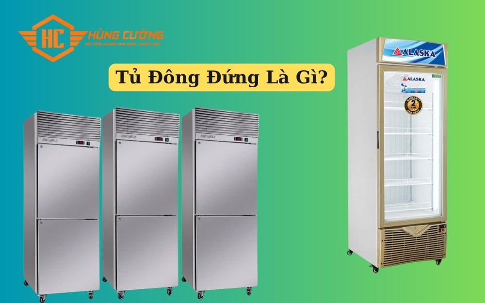 Tủ Đông Đứng Là Gì